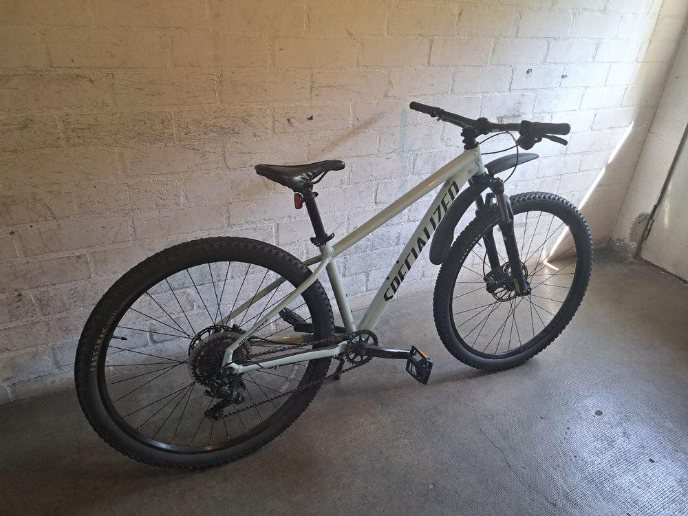 Specialized Rockhopper Comp 29 MTB (D'occasion) à Arlesheim pour