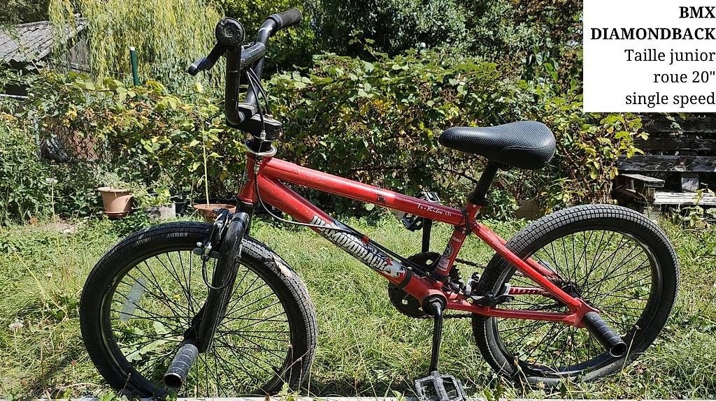 Biciclette: BMX junior – Usato da Genève venduto da vel_r2wy
