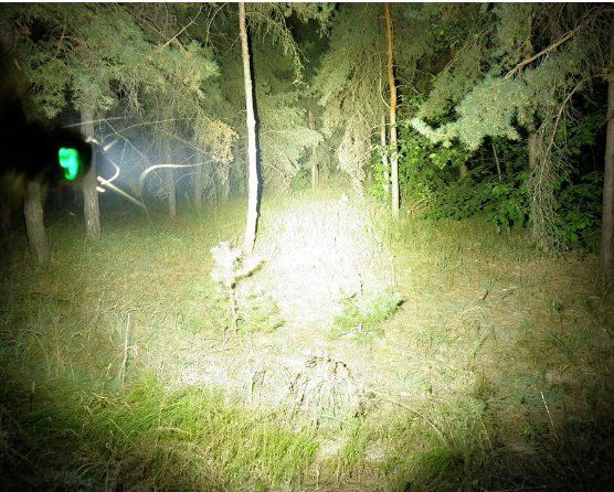 Lampade: Sofirn C8F, max. 2580 Lumen – Nuovo e nell'imballaggio originale da Arbon venduto da Helmuth 9