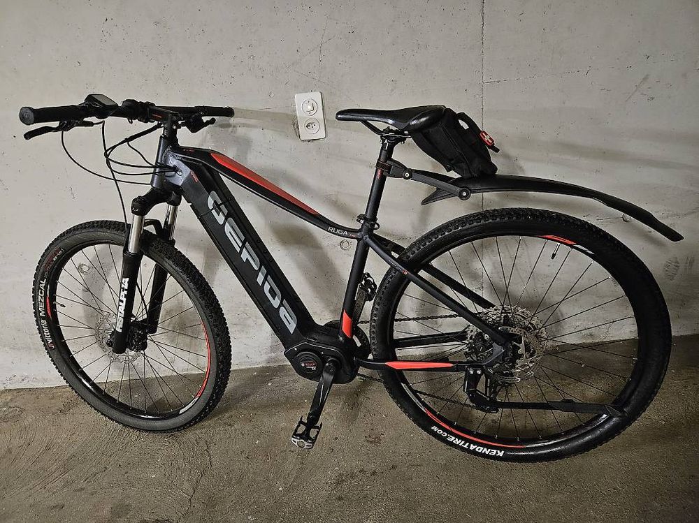 Mtb Gepida Ruga Pro Ebike (Gebraucht) in Camorino für CHF 800 – mit ...