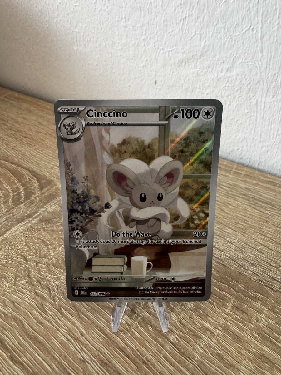 Pokémon Carte collezionabili: Pokemon Karte Cinccino – Usato da Biel/Bienne venduto da sup_9gy8