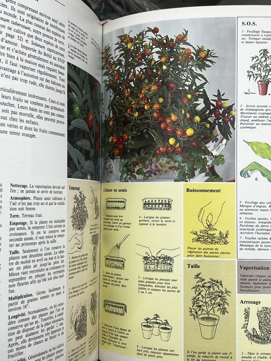 Bücher: Comment soigner vos plantes d interieur – Gebraucht aus Wettingen von NickInc 1