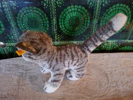 Vintage, Steiff Kater Tabby, grau getigert, Knopf im Ohr