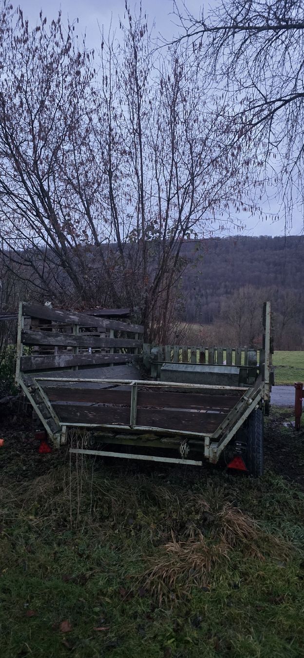Rimorchi: Agrar Ladewagen – Usato da Vordemwald venduto da swissfarmer58 7