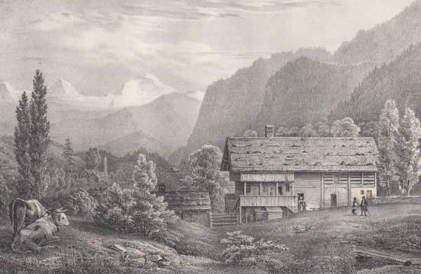 Incisioni: BLUMENSTEIN, LITHOGRAPHIE UM 1840 – Usato da Grüningen venduto da Kartensammler 2