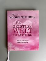 Die geistige Welt hilft uns - Pascal Voggenhuber