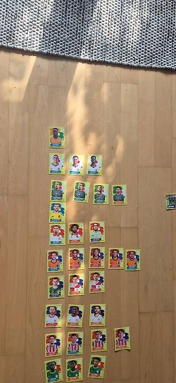 Sammelbilder & Trading cards: Panini – Gebraucht aus Frauenfeld von filipak