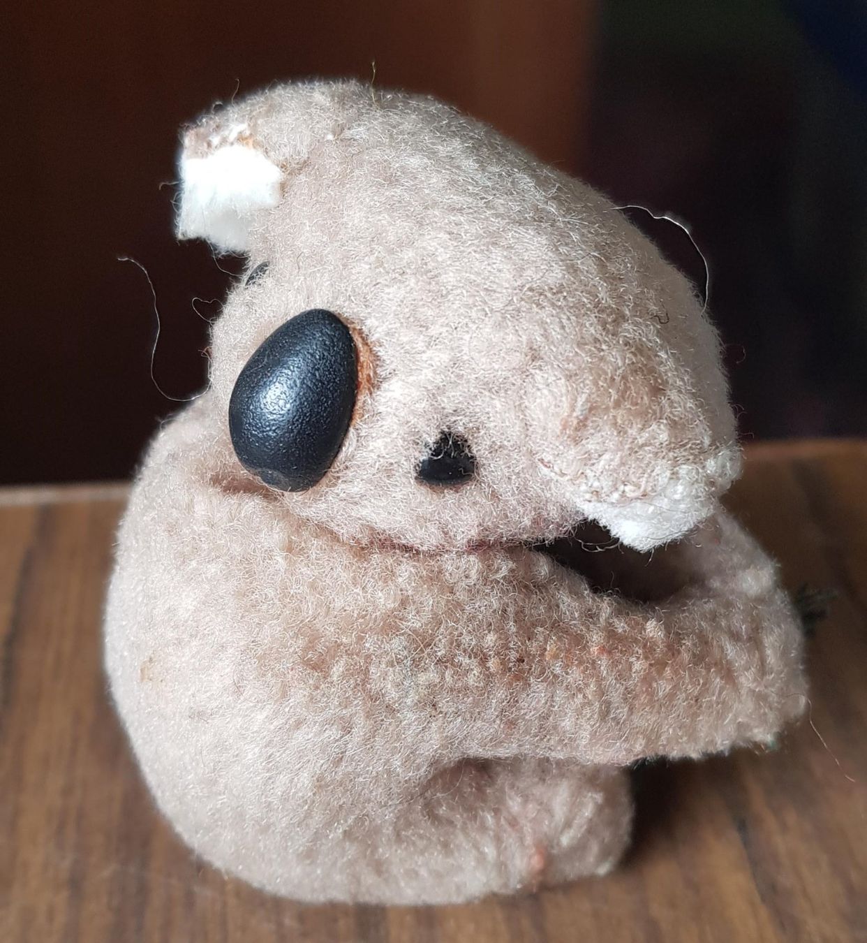 Giocattoli: Plüschtier Koala – Usato da Mörschwil venduto da lindaswunderkiste 5