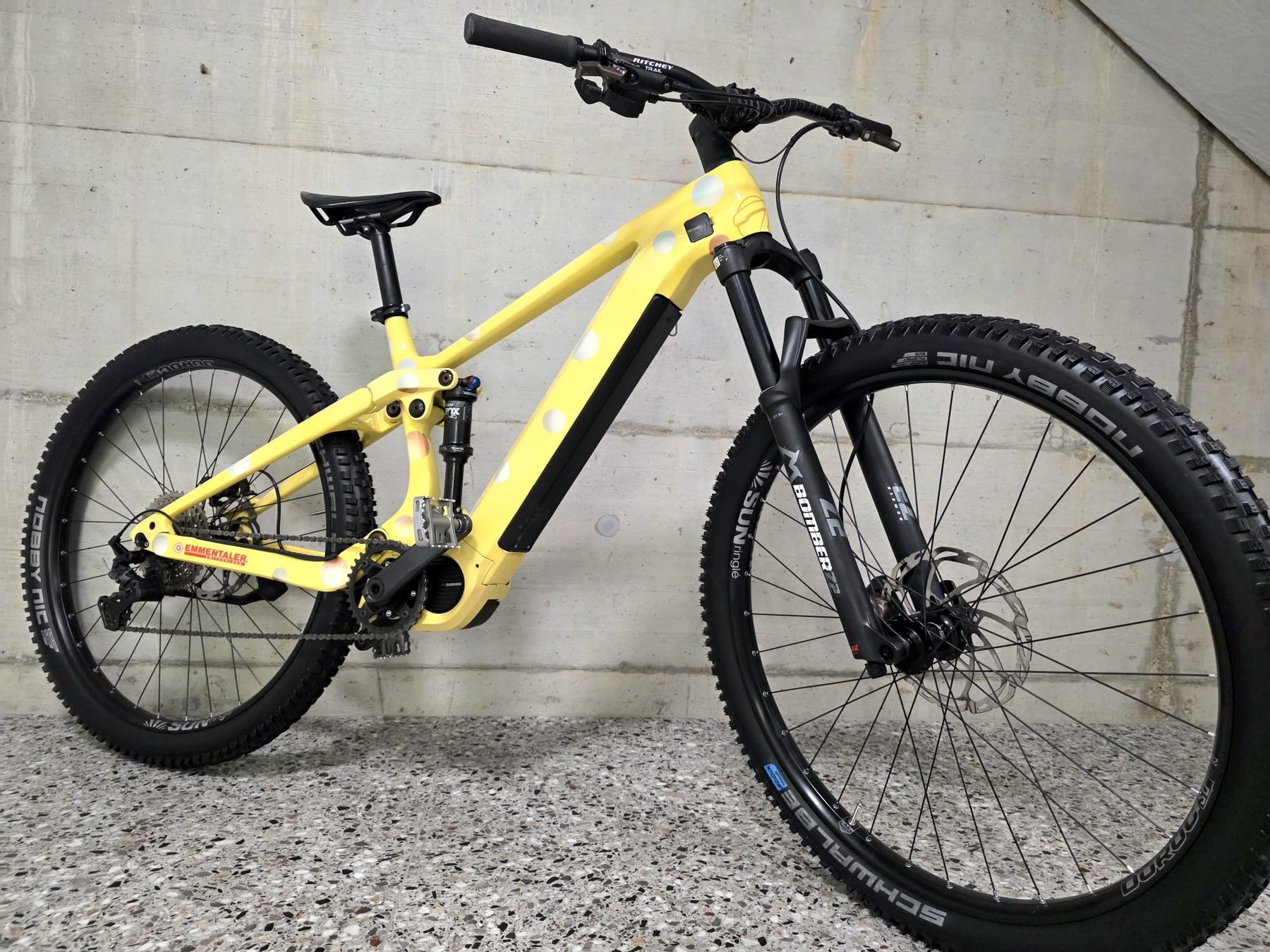 Thömus Biciclette: Thömus Lightrider E2 Custom EBike neuwertig – Usato da Hägendorf venduto da lua_f96g 7
