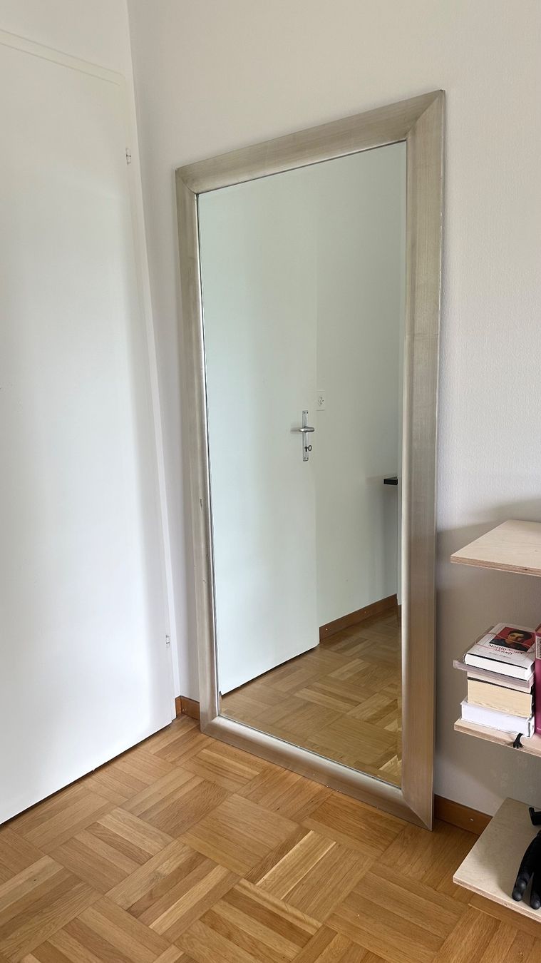 Specchi: Designer Spiegel 180x84 – Usato da Kreuzlingen venduto da david.nk
