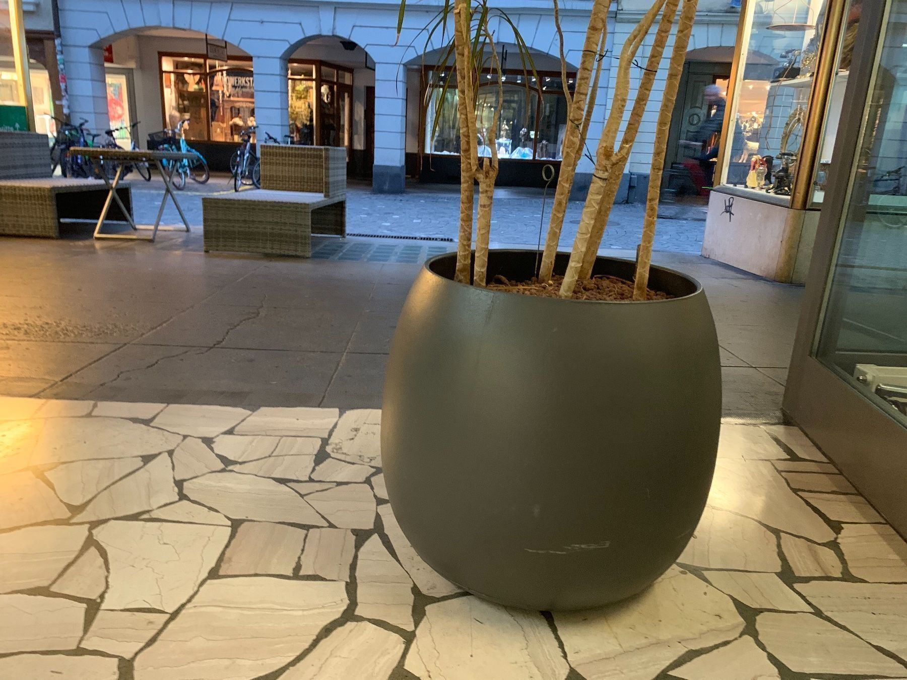 Vasi per fiori: Grosse Olivenbaum  Lieferung Gratis Ganze Schweiz – Usato da Thun venduto da Thuno6 3