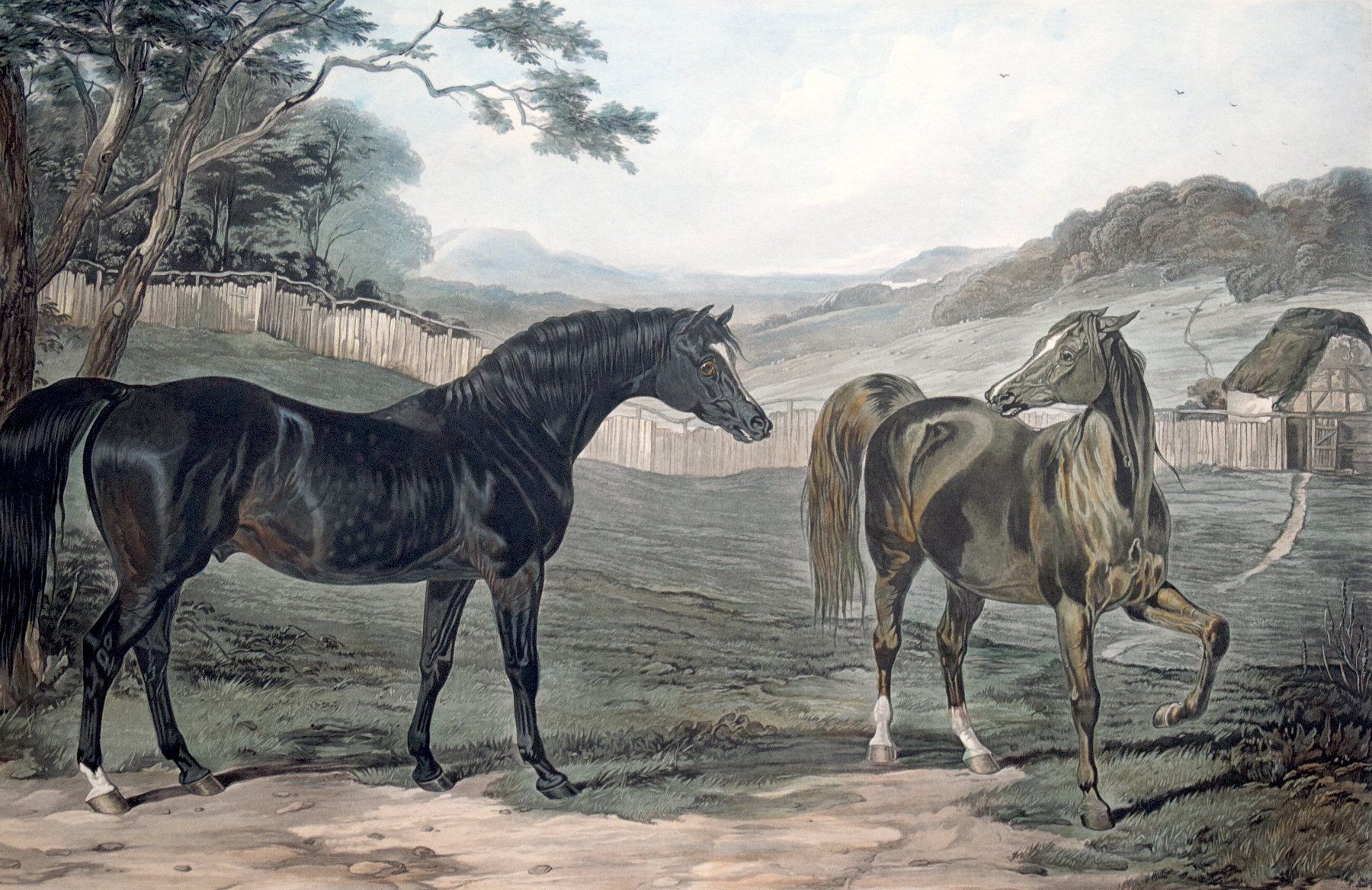 Dipinti: British Stud John Frederick HERRING 19. Jh.  antik Pferde – Usato da Zürich venduto da kunstarchiv.online 2