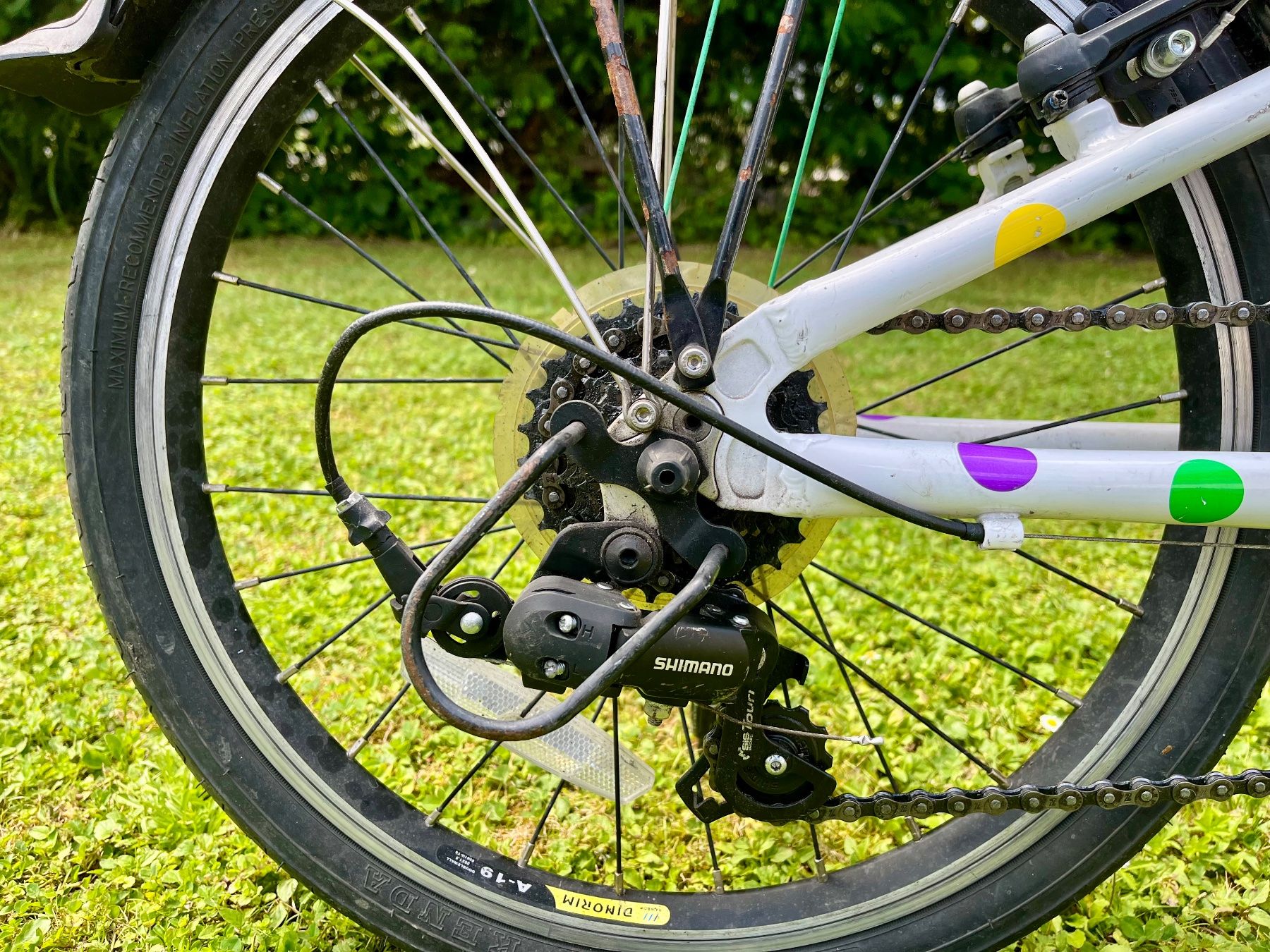 Biciclette: Kindervelo FROG 20" – Usato da Zürich venduto da D.J.Richter 3