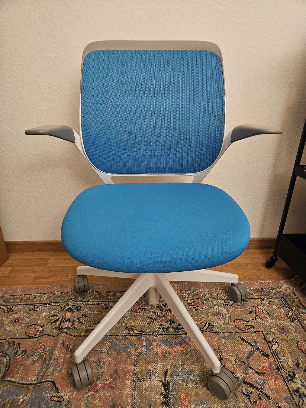 Steelcase Sedie: Steelcase Cobi, lagoon/weiss – Usato da Zürich venduto da joalves 1