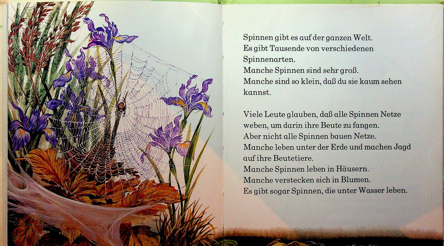 Libri: Spinnen   Brönner Kinderbücher 1972 – Usato da Reitnau venduto da Zaomir 4