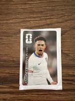 FIFA Sticker Antonee Robinson (USA) 2022