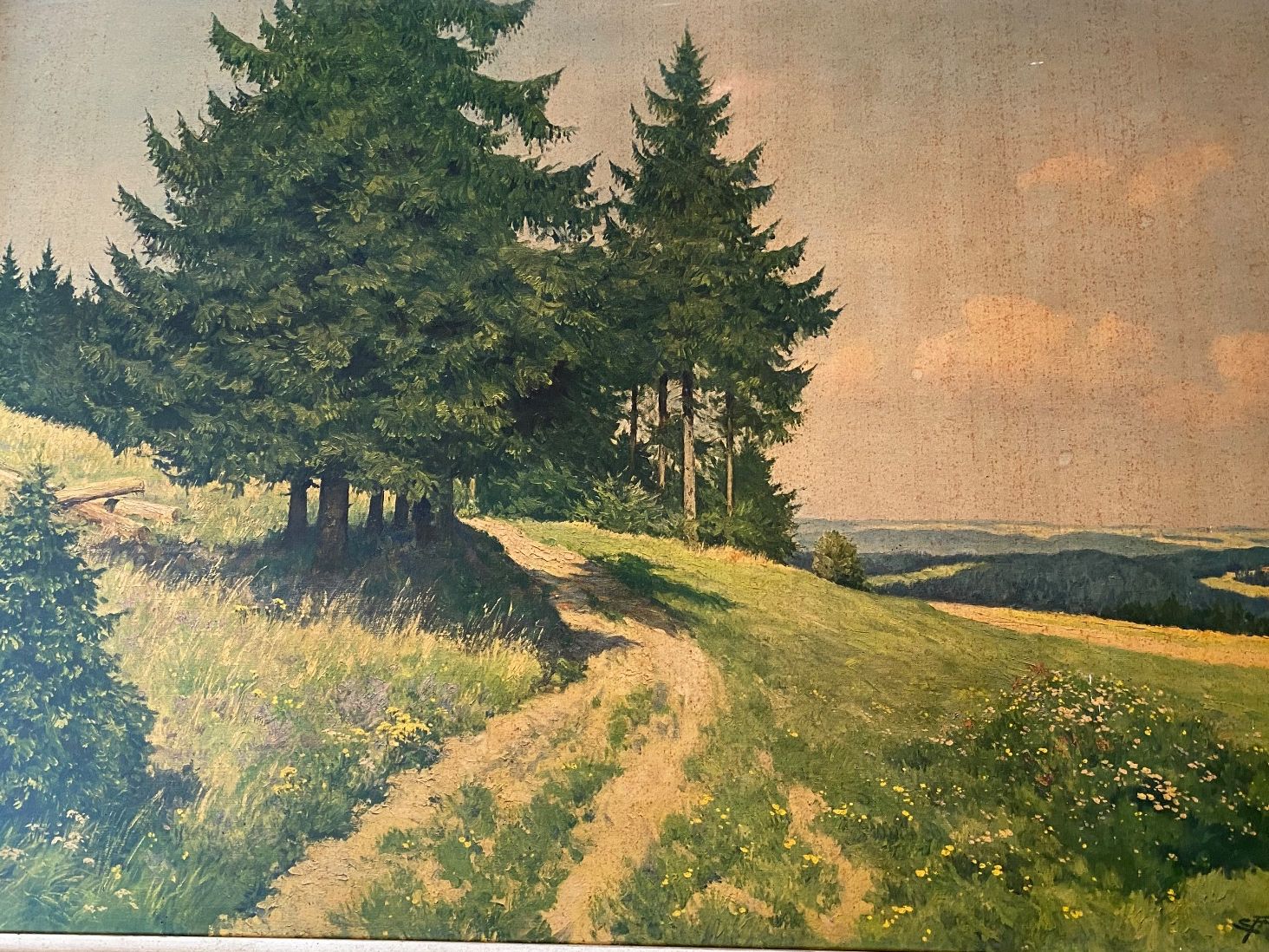 Cornici: Bilderrahmen (77x105 cm) mit Landschaftsbild – Usato da Wallisellen venduto da skorpion-11 2