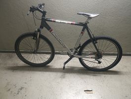Bicicletta Bergamont 26 usata