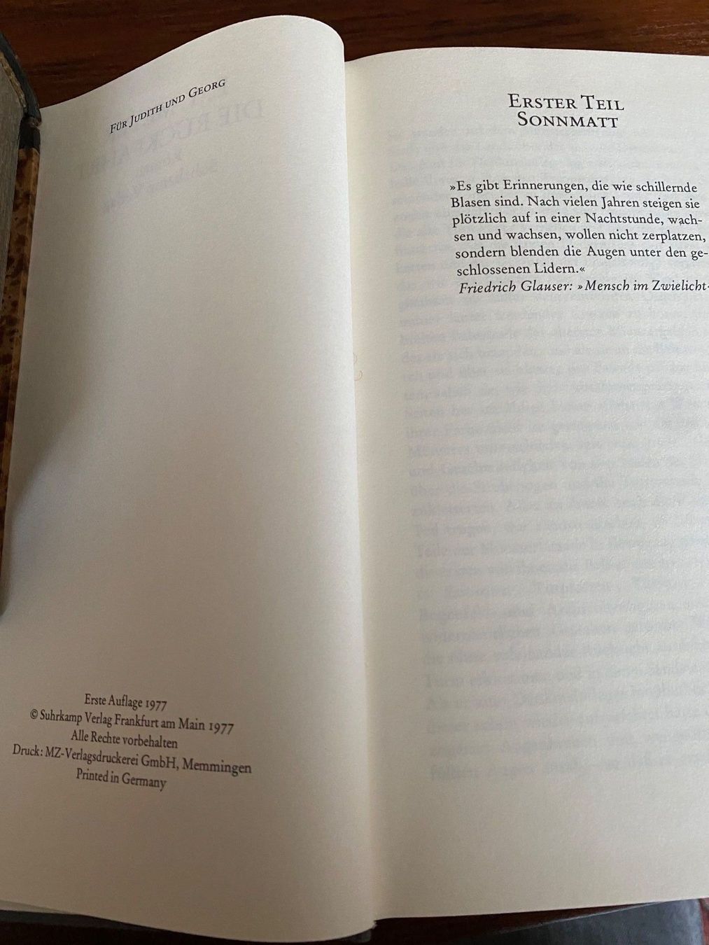Libri: E. Y. Meyer Die Rückfahrt – Usato da Zürich venduto da 2013tg 2