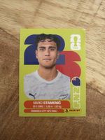 Panini NZL 15