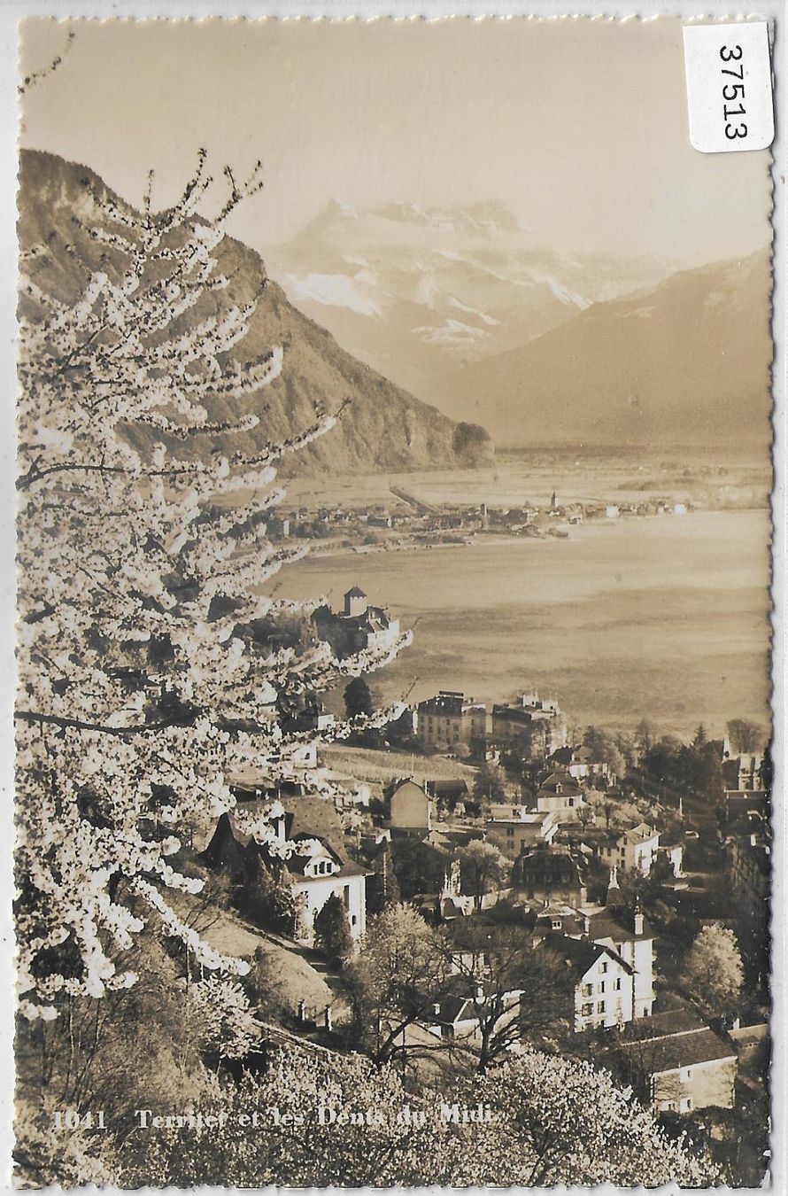 Cartoline postali: Territet et Dent du Midi im Frühling – Usato da Ettingen venduto da Kartenplanet
