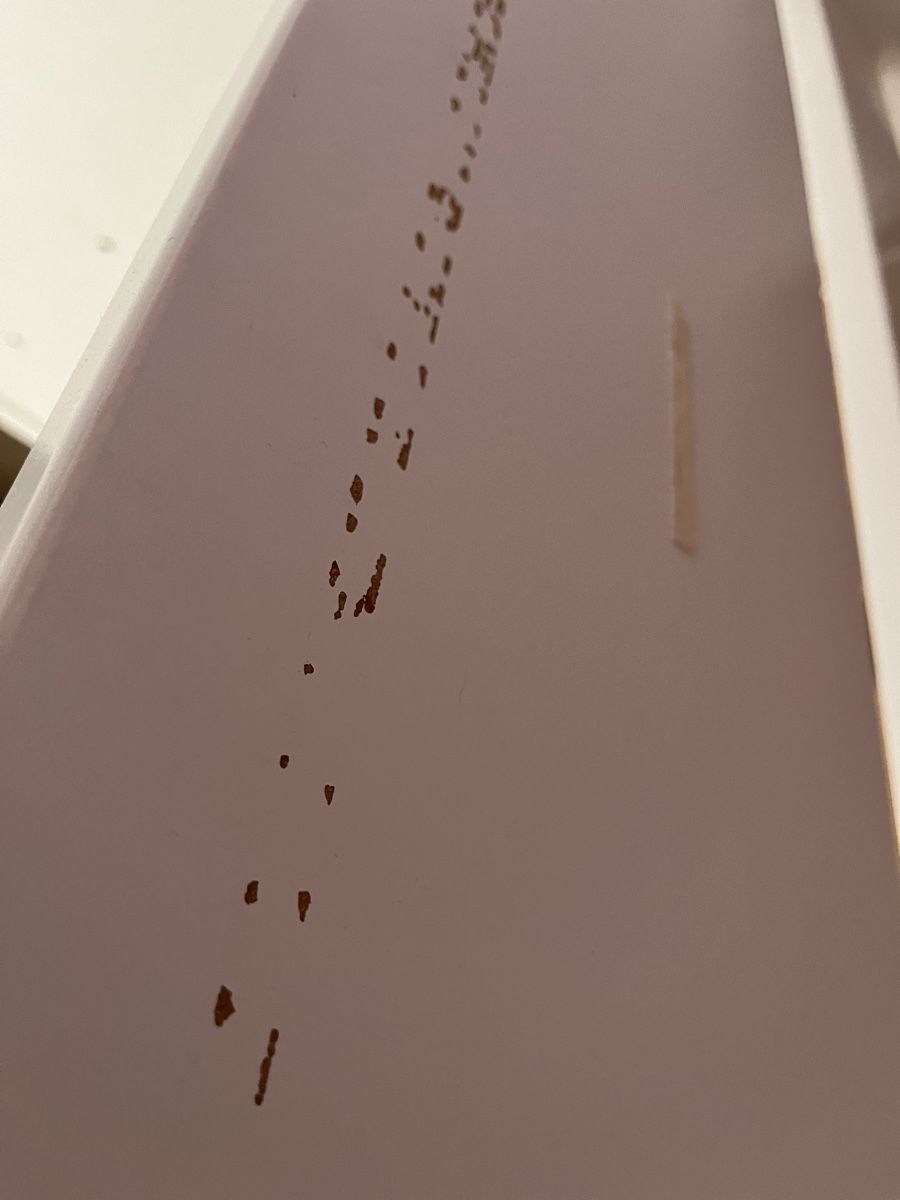 Lits: Flexa White Einzelbett – D'occasion à Wilen (Sarnen) par Mottenschrank 4