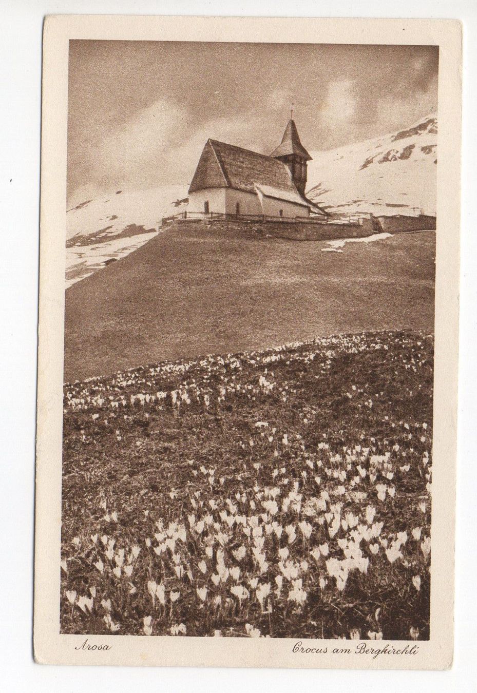 Cartoline postali: AROSA Crocus am Bergkirchli – Usato da Jona venduto da philajona