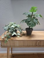 2x Artificial Plants