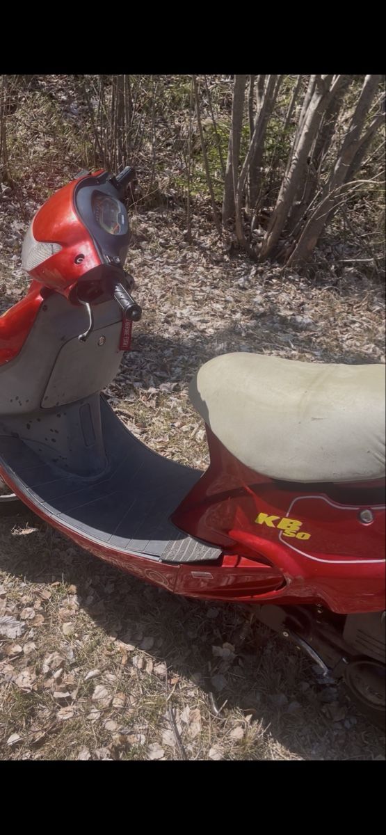 Kymco Scooter: Kymco kb 50ccm 45kmh – Usato da Mühlehorn venduto da noa_zqv6 2