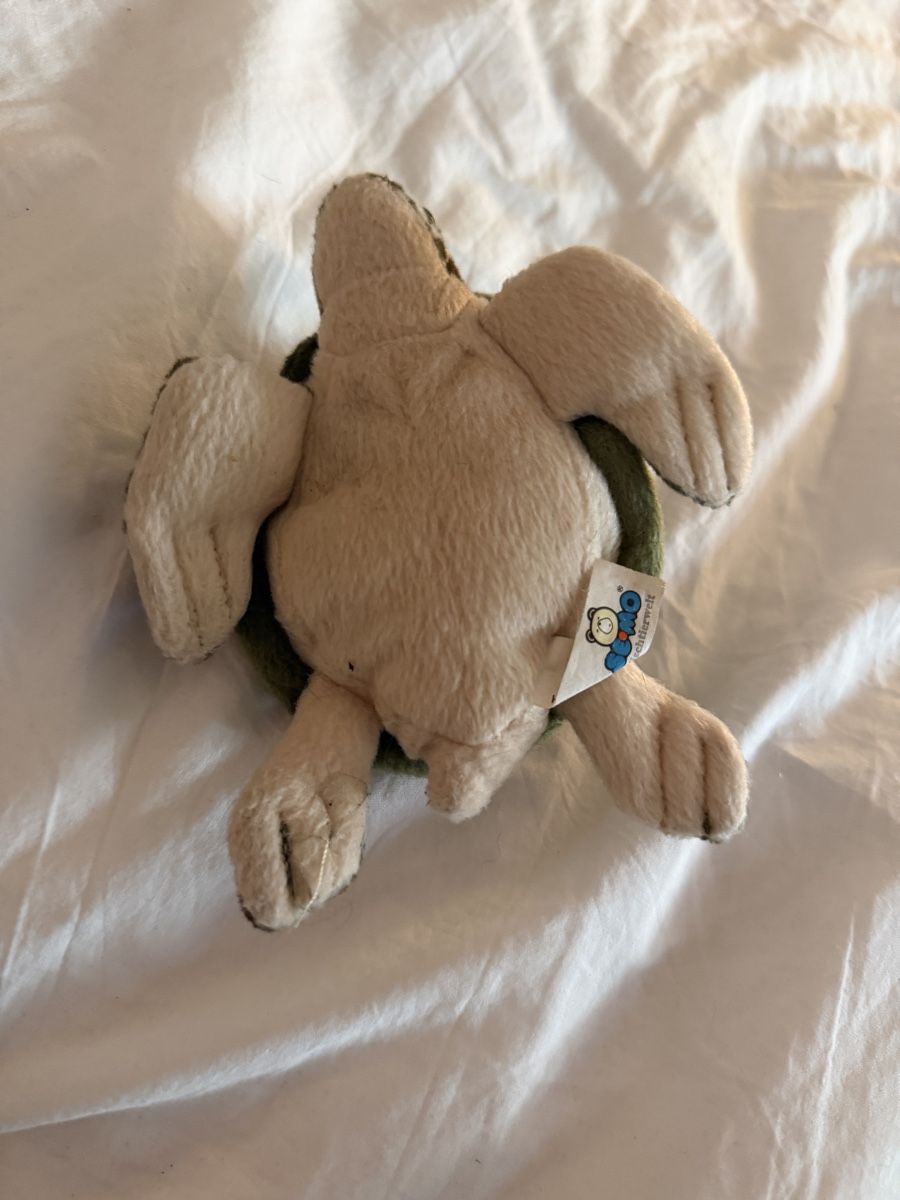 Spielzeuge: Schildkröte Kuscheltier  – Gebraucht aus Zürich von leo_cp7r 1