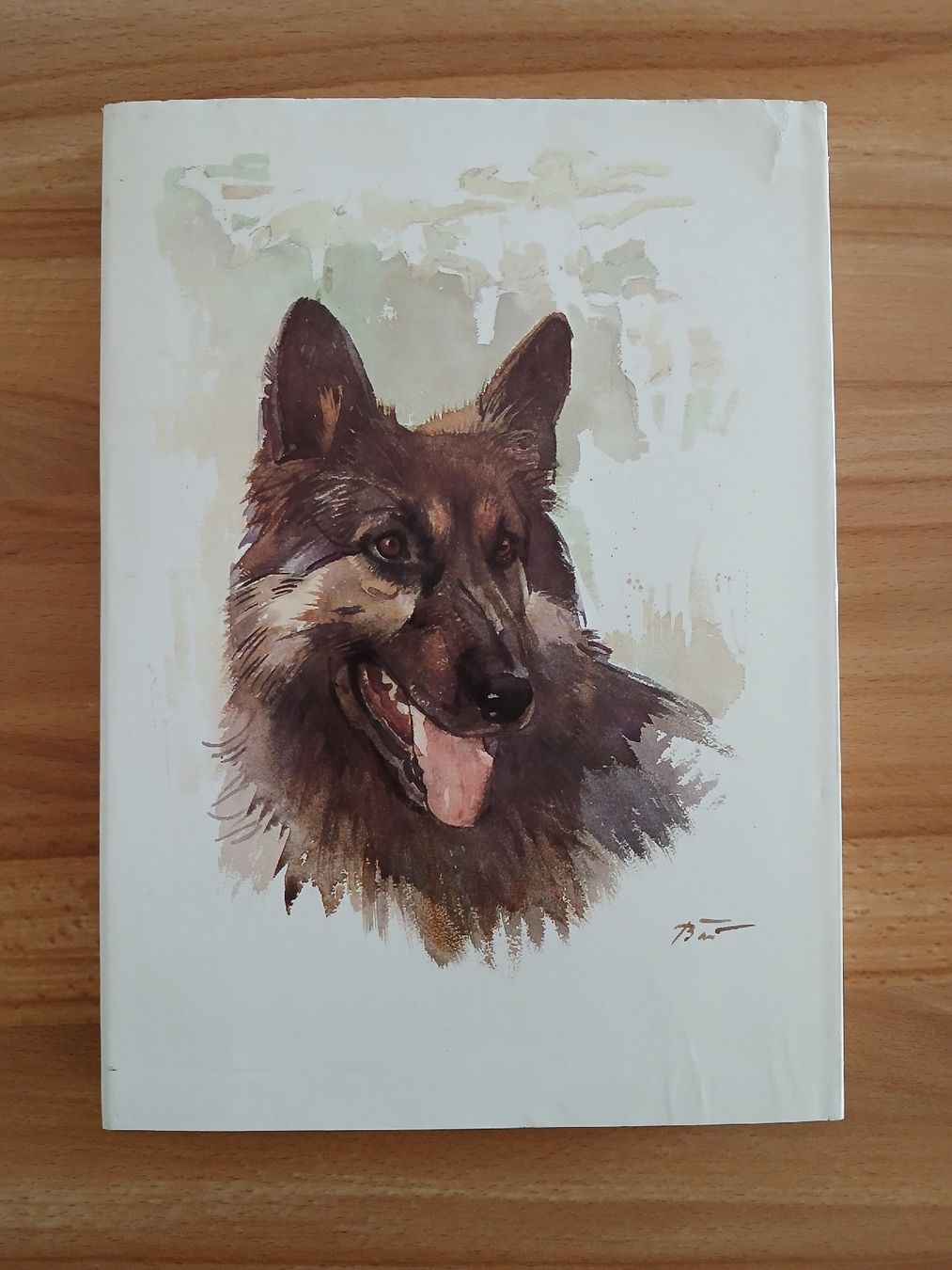 Libri: Nos chiens – Usato da Le Sentier venduto da arc_2thy 3