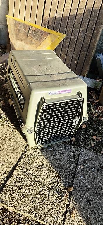 Gabbie, trasporto & Sicurezza: Trasporto cani – Usato da Villa Luganese venduto da Mility89 2