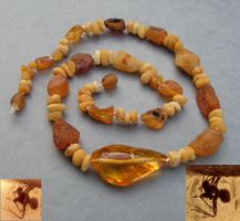♥ KETTE / Baltischer Bernstein / SPINNE / GESUND / AMULETT ♥
