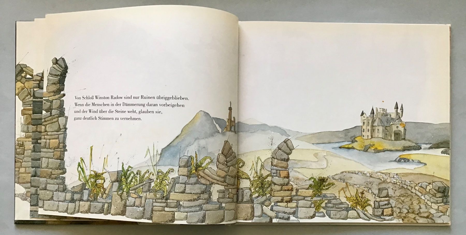 Libri: Das Geheimnis der Morlins – Usato da Bubendorf venduto da Alpenheidi 4