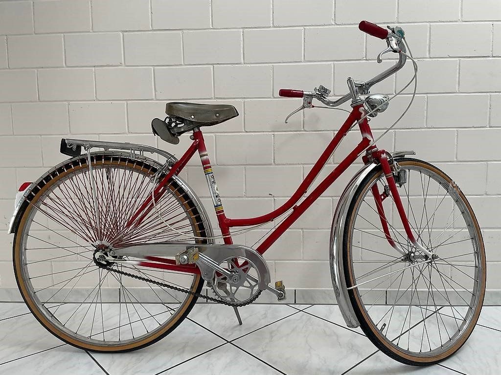 Biciclette: Velo Damen – Usato da Subingen venduto da Cosifantute 1