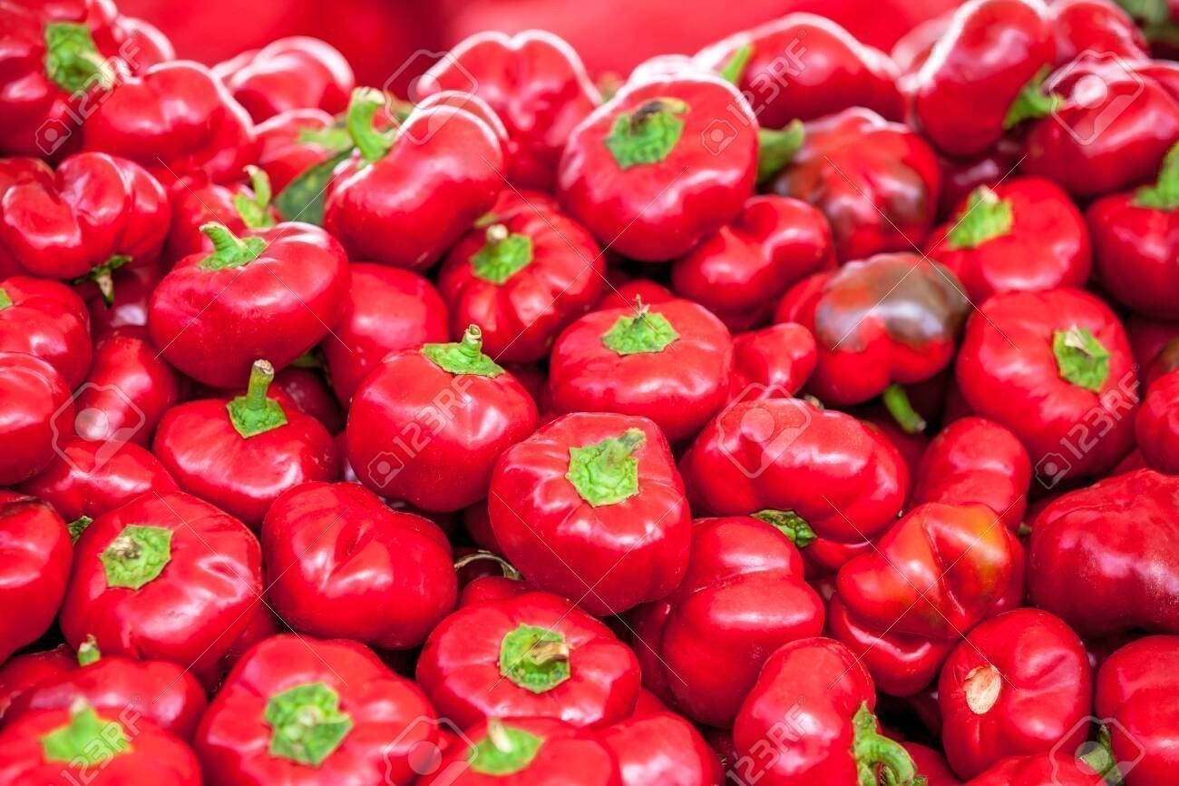 Piante & sementi: 50 Samen Gemüsepaprika TOPEPO ROSSO – Nuovo (secondo la descrizione) da Ehrendingen venduto da VerveinaSamen 1