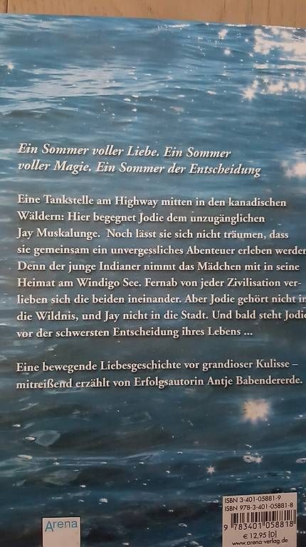 Bücher: Libellensommer von Antje Babendererde, Jugendbuch – Gebraucht aus Illnau von Buechermaus 1