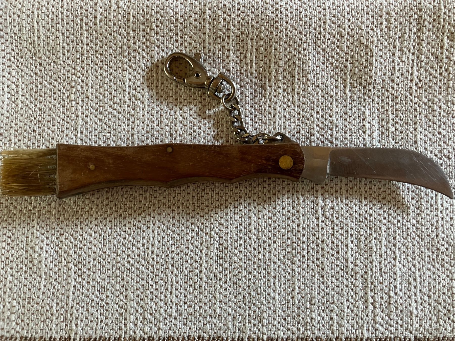 Accessoires: Pilzpfückmesser – D'occasion à Cunter par Bicasi58 1