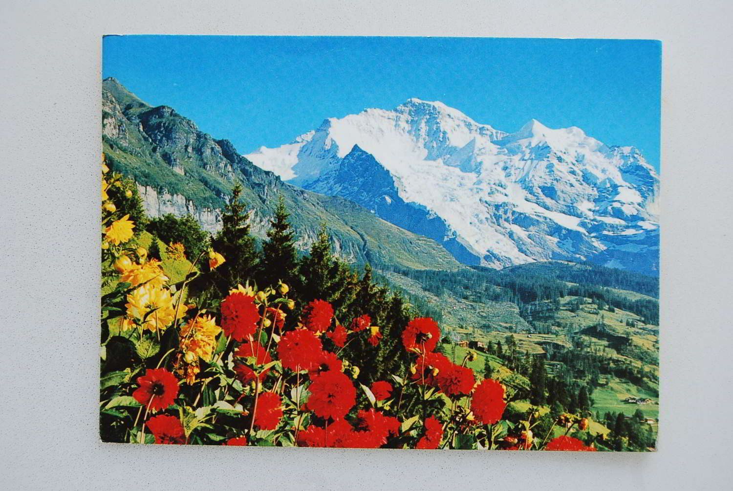 Cartoline postali: AK Jungfrau – Usato da Rüfenacht BE venduto da Toro06