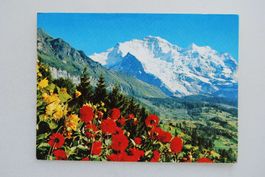 AK Jungfrau
