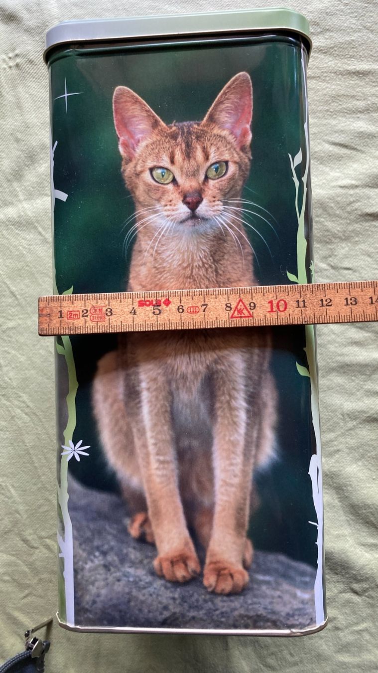 Contenitori & Simili: Royal Canin Katzen Dose – Nuovo (secondo la descrizione) da Zwingen venduto da Hugom 7
