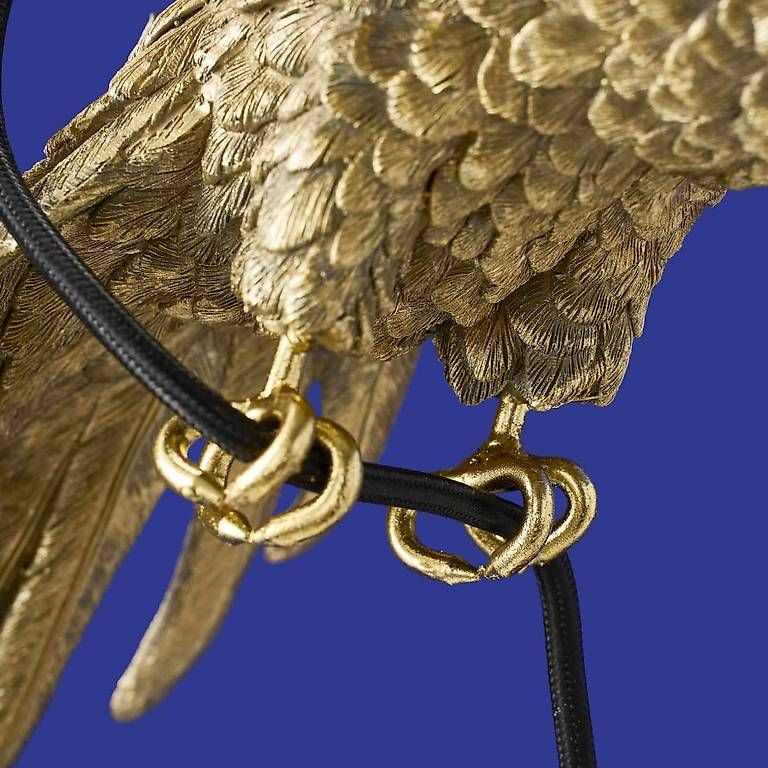 Kronleuchter & Deckenlampen: Papagei Hängeleuchte – Gebraucht aus Arbon von my_shopping 1