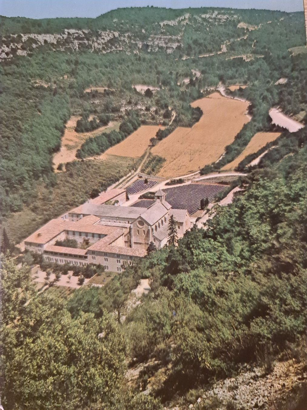 Cartoline postali: Ansichtskarte Abbaye de Senanque – Usato da Dintikon venduto da Vexi