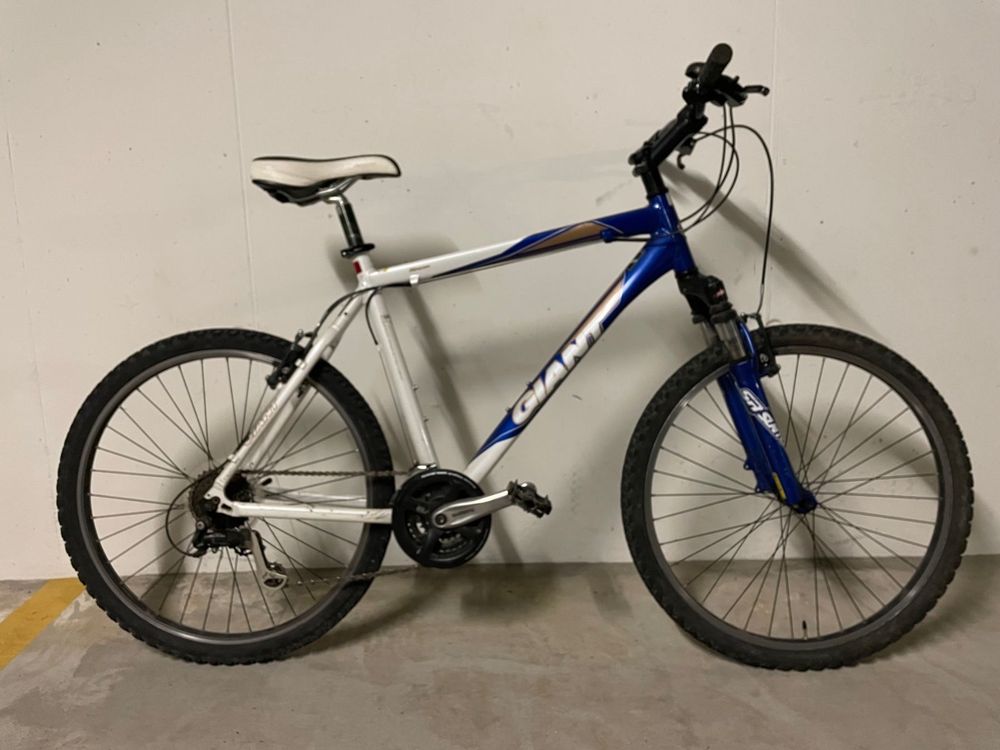 Vtt 2025 giant rincon