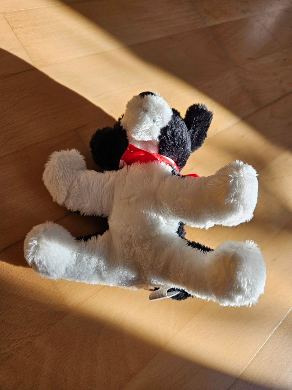 Spielzeuge: Stofftier, Berner Sennenhund ca. 14 cm – Gebraucht aus Wettingen von Sk8ertomda 5