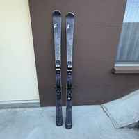 Alpine ski