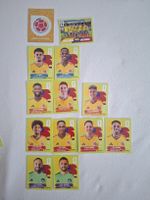 Panini Fifa World Cup 2026 - Ecuador Team - 13 stickers