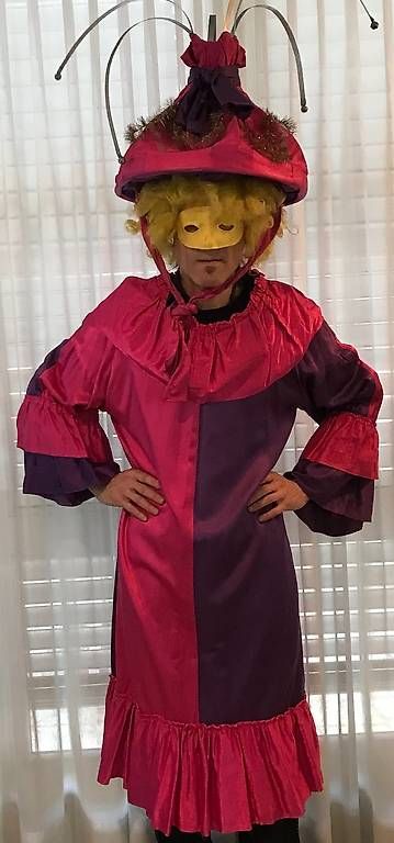 Costumi: Guggen Fasnachts Kleid – Usato da Bremgarten AG venduto da Bromberi 3