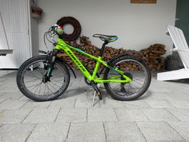Wheeler, Kids MTB, 20Zoll, top Zustand