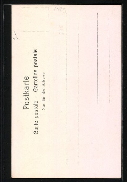 Cartoline postali: AK Berner Senne in Tracht – Usato da Berlin venduto da bartko-reher 1
